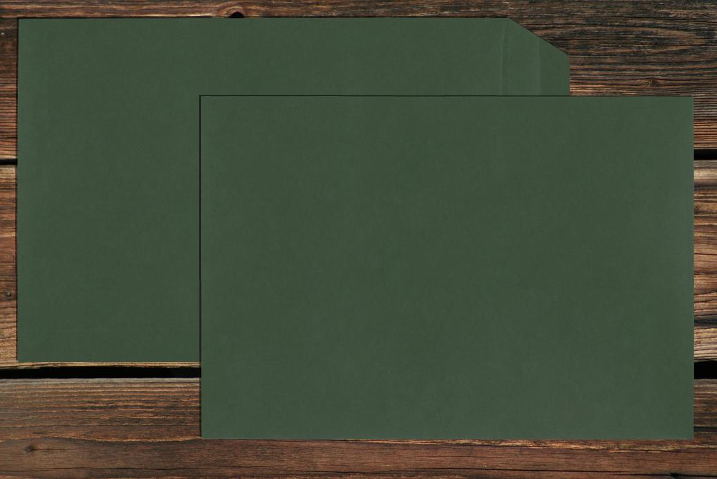 Versandtaschen 220x312 mm Nassklebend Dunkelgrün 120 g/qm